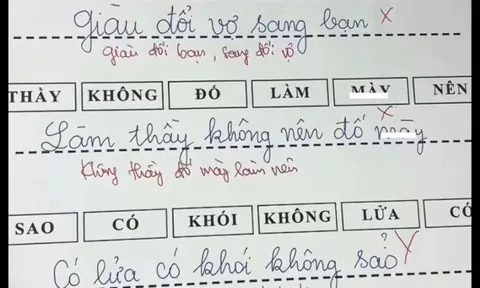 Cô giáo yêu cầu điền câu thành ngữ "giàu đổi...", “không thầy…”, học sinh tiểu học đưa ra loạt đáp án khiến cõi mạng bàn tán