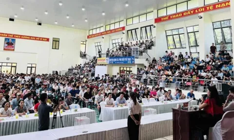 Đấu giá đất ở Thanh Oai (Hà Nội): Chỉ có 12 trường hợp nộp đủ tiền