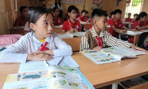 Luật sư nhận định những điểm "cực lợi hại" của Thông tư 29