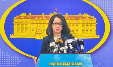 Bộ Ngoại giao lên tiếng về việc tiếp nhận người nhập cư do Mỹ trục xuất