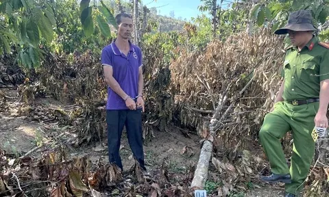 Lời khai của anh rể phá hoại vườn cây để đòi... quan hệ với em vợ