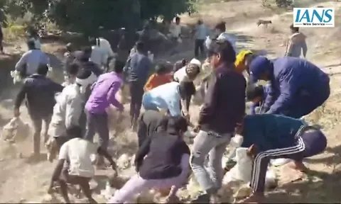 Clip: Cảnh tượng hỗn loạn đám đông hôi gà trên cao tốc khiến nhiều người ngán ngẩm