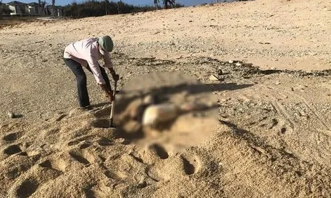 Phát hiện phần thi thể ở Ninh Thuận nghi vấn liên quan án mạng phân xác phi tang