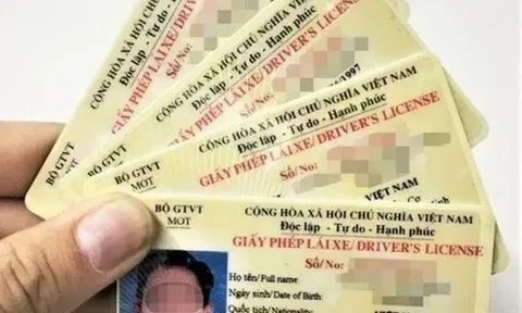 Từ 2025, dễ dàng tra cứu GPLX và lỗi vi phạm giao thông bằng vài thao tác đơn giản
