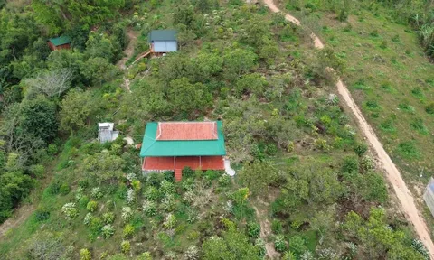 Vụ tu thành tiên lừa đảo gần 100 tỷ đồng: Trách nhiệm của chính quyền địa phương thế nào?