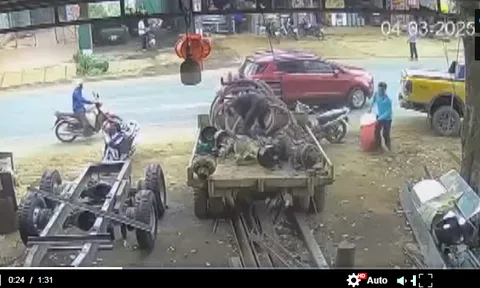 Danh tính Giám đốc đi xe con nổi lòng tham "lừa" lấy 2 con cá 4,7 triệu đồng bị đánh rơi