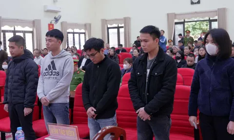 Tuyên phạt 6 bị cáo vụ “thổi giá” đất đấu giá lên tới 30 tỷ đồng/m2 ở Sóc Sơn, Hà Nội