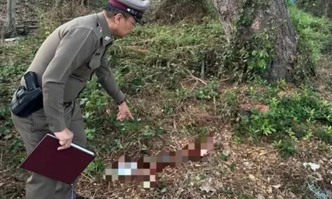 Người mẹ đẻ đau đớn tiết lộ đường trốn chạy của con trai sau khi anh ta đâm em vợ cũ 18 nhát vì tưởng là vợ