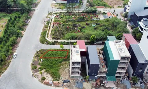 Tin bất ngờ về phiên đấu giá đất Hà Đông 262 triệu đồng/m2: 80% bị bỏ cọc