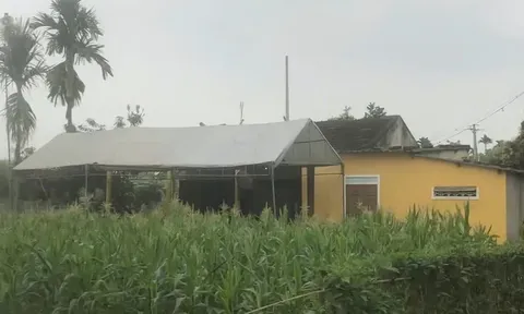 Bàng hoàng phát hiện con gái đang học lớp 7 chết trong tư thế treo cổ tại vườn nhà: Hé lộ hoàn cảnh gia đình