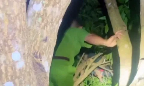 Clip: Bé trai lớp 2 ngủ quên trên cây xoài cao 6 mét nói 1 điều ngây thơ khi được giải cứu, hơn 100 người toát mồ hôi tìm kiếm