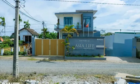 Vỏ bọc của công ty sản xuất kẹo rau củ Kera hoàn hảo ra sao?