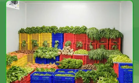 Nông dân tiết lộ động thái lạ của Công ty sản xuất kẹo rau Kera
