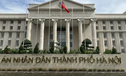 Bà lão U80 lừa hơn 1 tỷ đồng để đi thẩm mỹ giảm béo như thế nào?