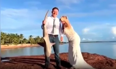 Clip: Cô dâu đi chụp ảnh cưới "tiện tay" câu được cá mập