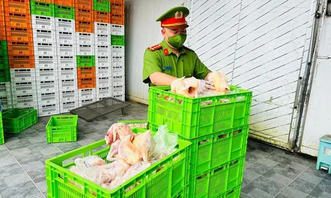 Ám ảnh khi nhìn tận mắt 20 tấn gà đông lạnh, gà ủ muối và nội tạng sắp có thể tuồn ra chợ, vào nhà hàng
