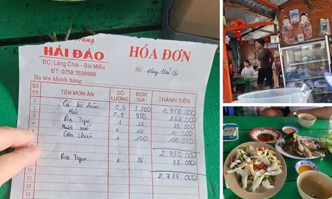 Vụ cá bò hòm 3,5 triệu đồng/kg ở Nha Trang: Thông tin bất ngờ về chủ bè