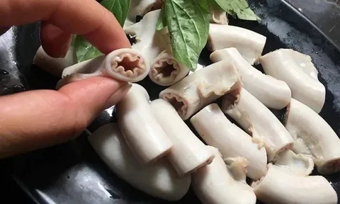 "Lòng se điếu dài 40 mét": Cơ quan chức năng vào cuộc kiểm tra