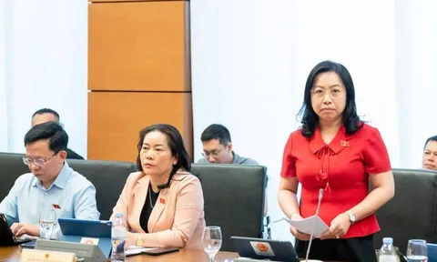 ĐBQH hỏi thẳng: Chợ Ninh Hiệp công khai bán hàng nhái, hàng giả nhiều năm, vai trò của cơ quan quản lý thị trường như thế nào?