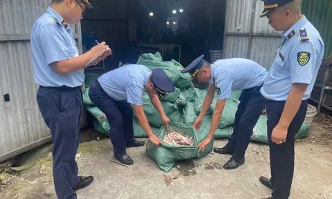 Bí mật bên trong kho lạnh: Gần 8 tấn chân gà không rõ nguồn gốc chuẩn bị ra thị trường