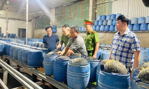 Sự thật bàng hoàng bên trong "thủ phủ" 350 tấn giá đỗ ủ hóa chất có hại cho sức khỏe "vi vu" khắp chợ dân sinh ở Lào Cai