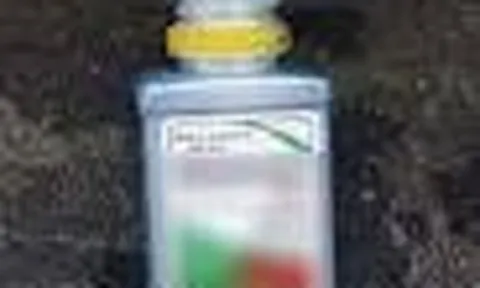 Vụ cha giết con rồi uống thuốc sâu tự tử: Một hành động bất thường của người cha gây phẫn nộ