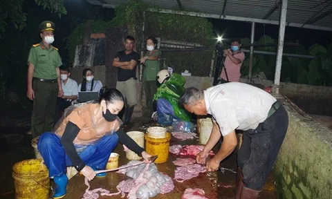 Lò mổ với gần 3 tấn thịt nhiễm virus dịch tả lợn châu Phi hoạt động thế nào?