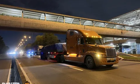 Hãi hùng khoảnh khắc thanh niên rơi từ cầu bộ hành ga metro, cuốn vào gầm xe đầu kéo
