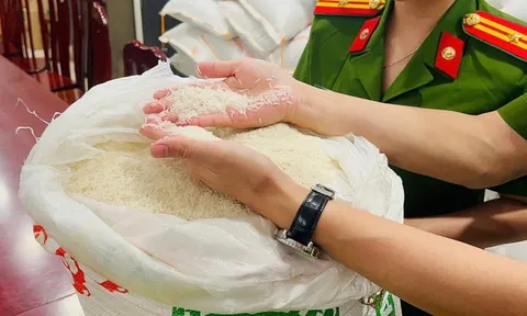 Clip: Cận cảnh quy trình biến gạo rẻ tiền thành Gạo ST25 Ông Cua ngon nhất thế giới