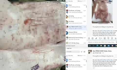 C.P. Việt Nam nói gì khi bị tố bán thịt heo, gà bệnh ra thị trường?