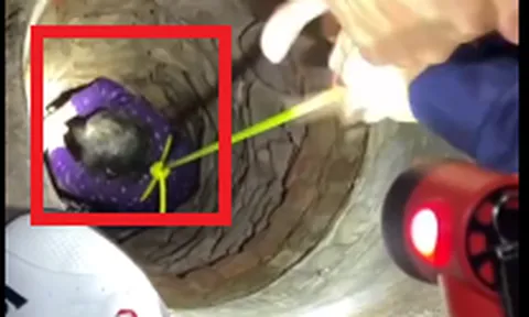 Clip: 15 phút nghẹt thở cứu cụ bà 84 tuổi rơi xuống giếng sâu, miệng nhỏ 50-60cm