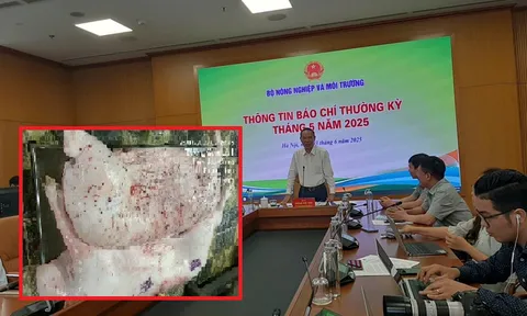 Sẽ chuyển hồ sơ vụ Công ty C.P. bị tố bán heo bệnh sang Bộ Công an điều tra để xử lý dứt điểm