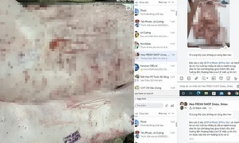 Người tố công ty C.P Việt Nam đã cung cấp những gì cho công an?