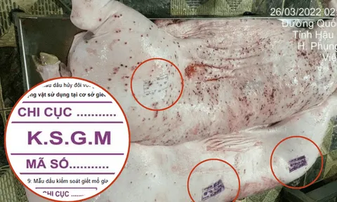 Ai đóng dấu kiểm dịch sai lên heo bệnh của Công ty C.P. Việt Nam?