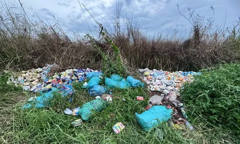 Công ty CP Dược phẩm MediUSA và Công ty CP Dược phẩm liên doanh MediPhar sản xuất thực phẩm chức năng bị đổ ở TPHCM: Những thông tin bất ngờ