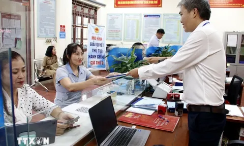 Chính phủ quy định các phòng chuyên môn được tổ chức ở cấp xã