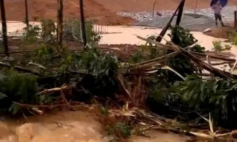 Vỡ đập thủy lợi chứa 500.000m³ nước ở Quảng Bình, người dân đưa ô tô lên cầu tránh lũ