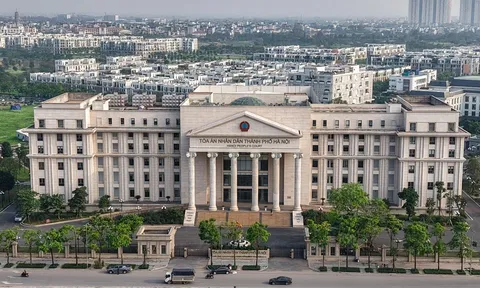 Lương Ngọc Dũng khai gì về biển xanh của ô tô được Vũ "Nhôm" tặng?