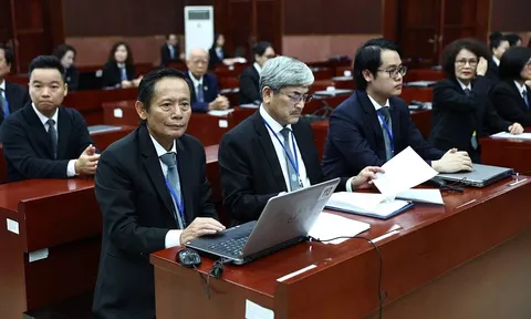 Từ 1/7, Chủ tịch tỉnh được cấp, thu hồi chứng chỉ hành nghề luật sư