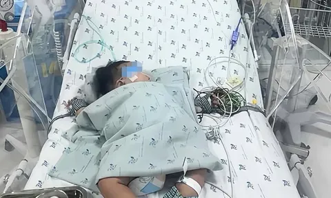 Cảnh báo khẩn: Nhiều ca sốc sốt xuất huyết, nguy kịch