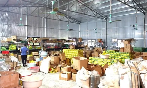 Thủ đoạn dán nhãn thương hiệu "Chè Thái Nguyên" thu lợi hàng chục tỉ đồng của cơ sở sản xuất ở Ninh Bình