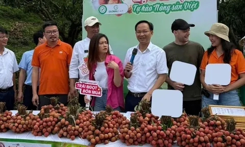 Phó chủ tịch UBND tỉnh Bắc Ninh livestream “chốt đơn” thành công hơn 54 tấn vải thiều Lục Ngạn