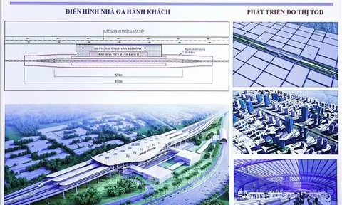 Khẩn trương lập hồ sơ cắm mốc chỉ giới tuyến đường sắt tốc độ cao Bắc - Nam