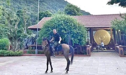 Ông trùm Vi "ngộ" xứ Thanh có thú chơi dị thường thế nào mà bao người ái ngại?