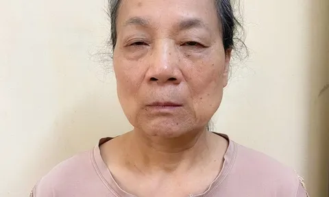 Người livestream chửi bới tại tòa án ở Tuyên Quang bị khởi tố: Là phụ nữ, 64 tuổi