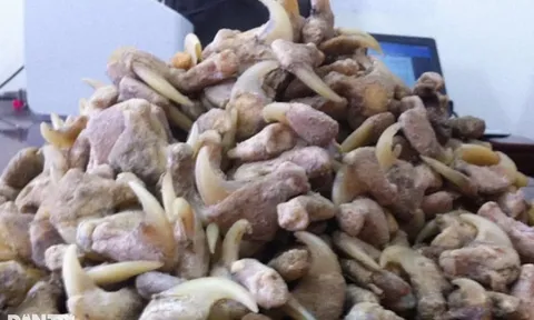 Người đàn ông bị phạt hơn 262 triệu vì tàng trữ thứ này