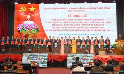 Nhiều lãnh đạo sở, ban, ngành TP Hải Phòng làm bí thư, chủ tịch cấp xã