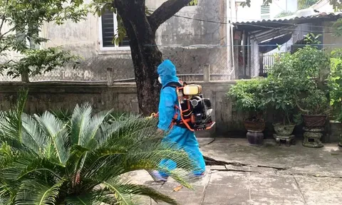 Gần 2 tuần, TP Huế ghi nhận có 12 ca mắc liên cầu lợn: Những điểm lạ quanh khu vực sinh sống của bệnh nhân