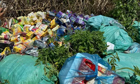Hàng loạt thuốc, thực phẩm chức năng bị vứt bỏ bên lề đường: Tiêu hủy vật chứng nhằm che giấu tội phạm?