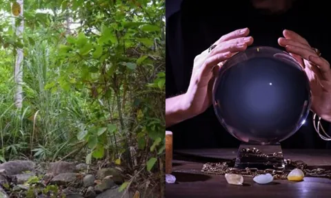 Gia đình nhờ nhà ngoại cảm tìm con gái mất tích, phát hiện bí mật động trời gần ngôi nhà